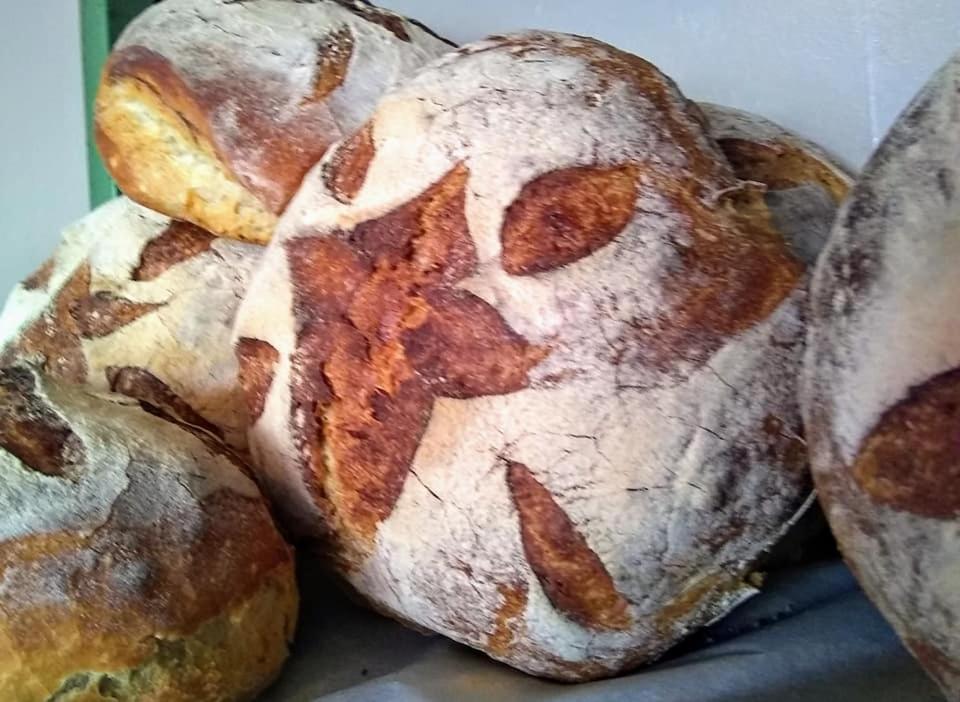 The Bear Bread Bakery B&B, Ensuite Rooms Above The Bakery, Colyton Εξωτερικό φωτογραφία